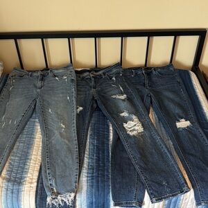 3 pair Judy Blue Jeans